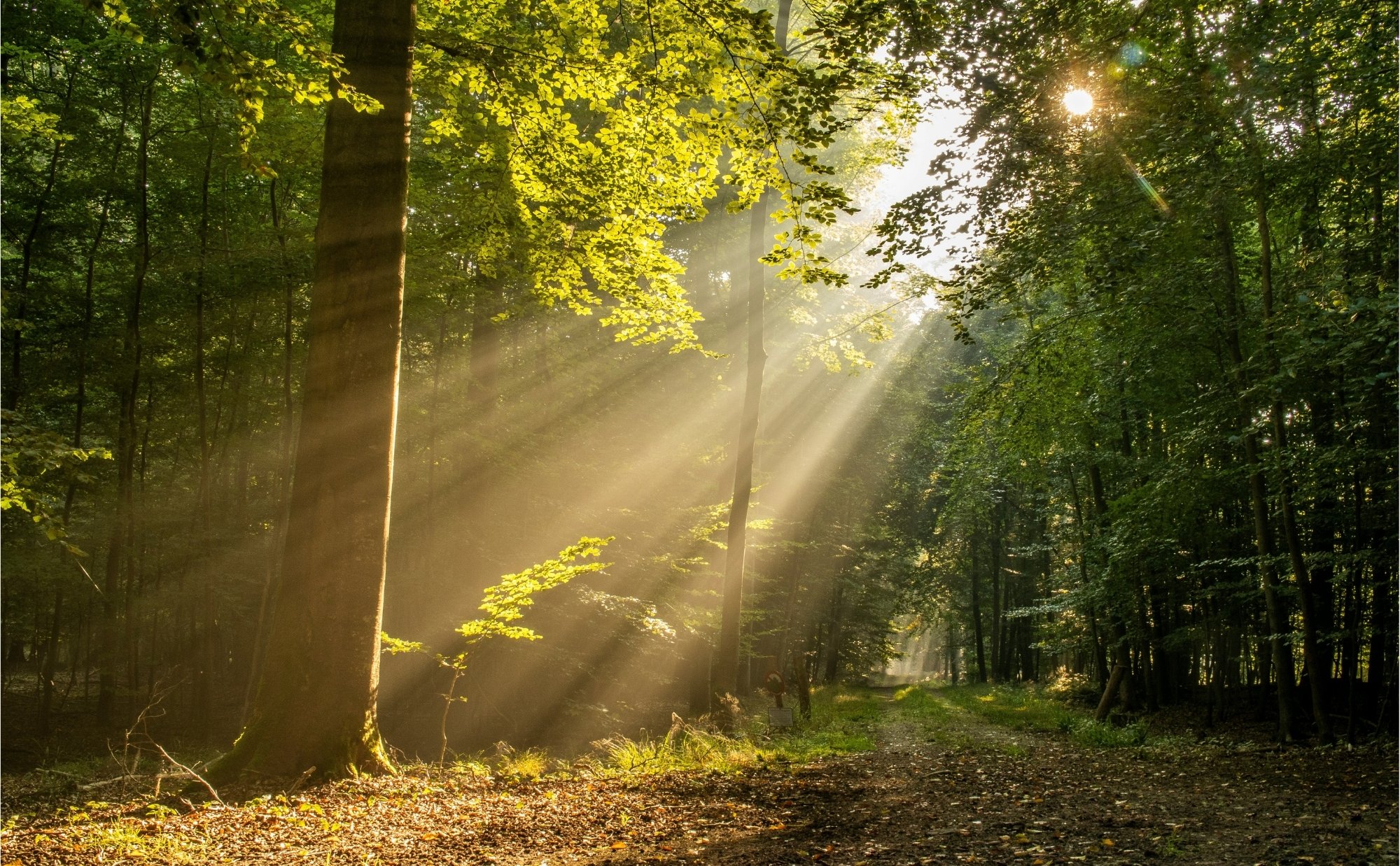 Record highs don’t tell the full story